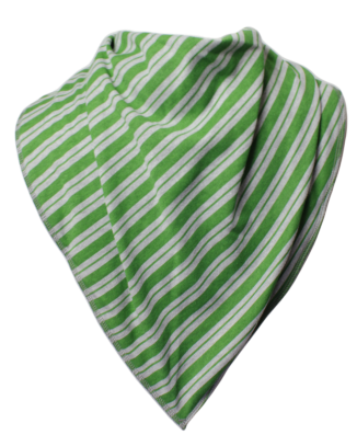 Draco Bandana Bib - Size 4