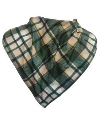 **LIMITED EDITION** Green Tartan Bandana Bib - Size 2