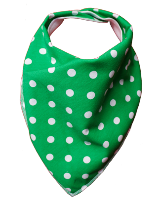Green Tea Bandana Bib - Size 3