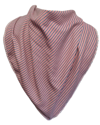 **NEW** Jett Bandana Bib - Size 4