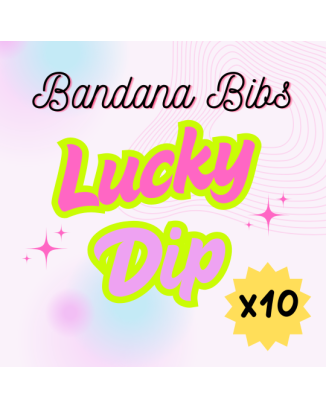 Size 4 Lucky Dip - 10 x Bandana Bibs 