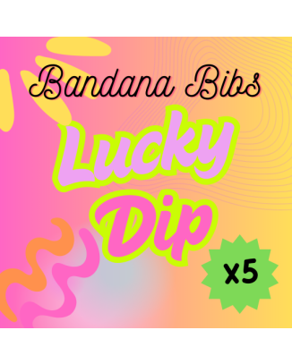 Size 3 Lucky Dip - 5 x Bandana Bibs