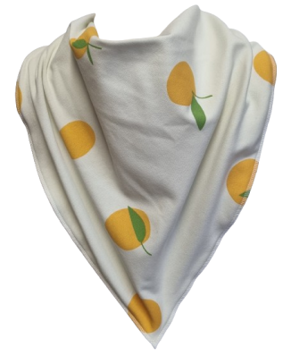 Orange Tree Bandana Bib - Size 4