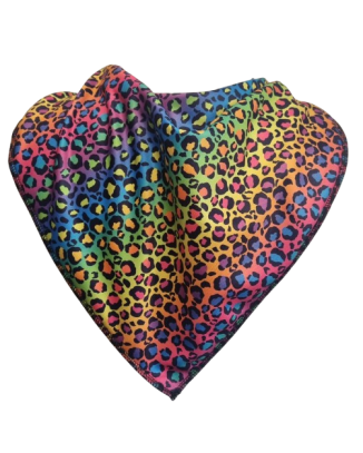 **LIMITED EDITION** Rainbow Leopard Bandana Bib - Size 3