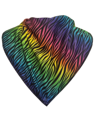 **LIMITED EDITION** Rainbow Zebra Bandana Bib - Size 2