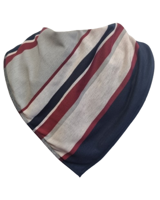 **LIMITED EDITION** Raymond Bandana Bib - Size 4