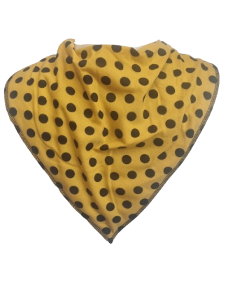 **LIMITED EDITION** Salsa Bandana Bib - Size 2