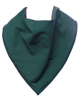 Bottle Green Bandana Bib - Size 2