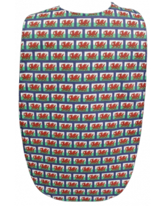 **NEW** Welsh Flag Flat Long Length Clothing Protector