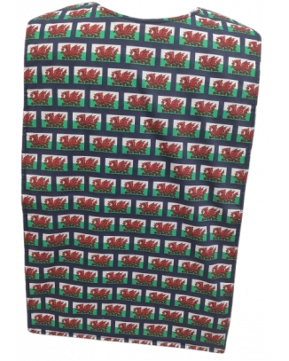 Childrens Flat Style Long Length Clothing Protector - Welsh Flag