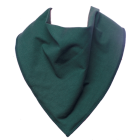 Bottle Green Bandana Bib - Size 1