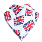 Fly the Flag Bandana Bib - Size 1