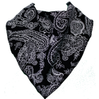 Paisley Bandana Bib - Size 1