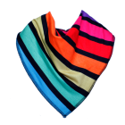 Pride Bandana Bib - Size 1