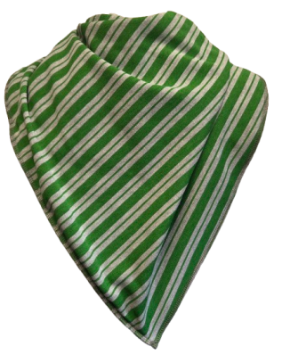 **NEW** Draco Bandana Bib - Size 4