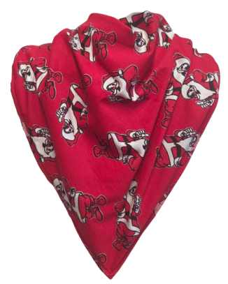 **LIMITED EDITION** Kris Kringle Bandana Bib - Size 4