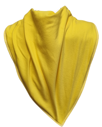 Sunshine Bandana Bib - Size 4