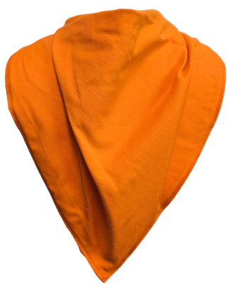 **LIMITED EDITION** Tangerine Bandana Bib - Size 4